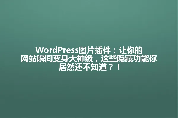 WordPress图片插件:让你的网站瞬间变身大神级,这些隐藏功能你居然还不知道?! 一