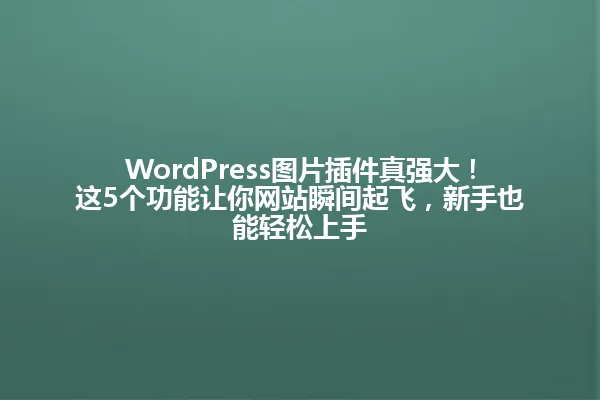 WordPress图片插件真强大!这5个功能让你网站瞬间起飞,新手也能轻松上手 一