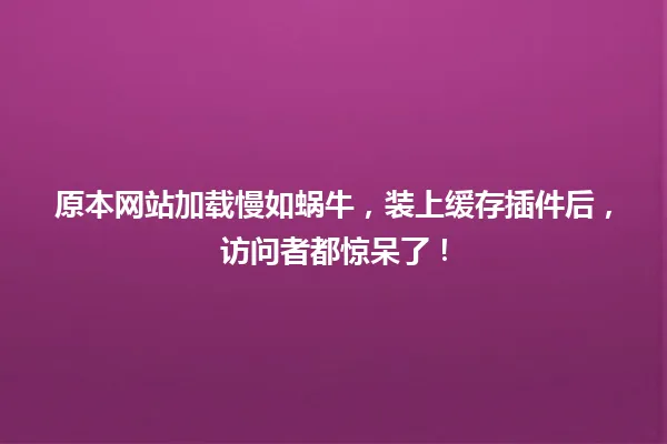 原本网站加载慢如蜗牛,装上缓存插件后,访问者都惊呆了! 一