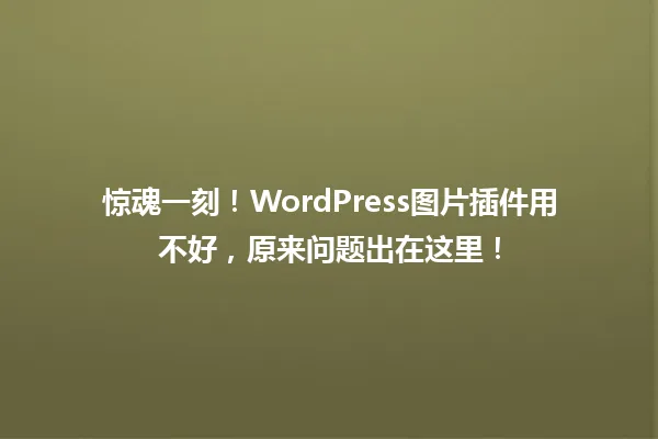 惊魂一刻！WordPress图片插件用不好，原来问题出在这里！ 一