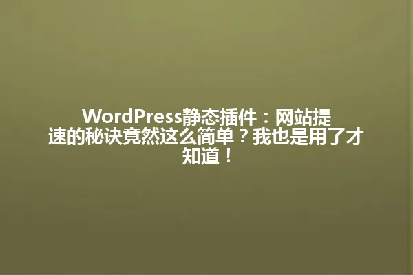 WordPress静态插件:网站提速的秘诀竟然这么简单?我也是用了才知道! 一