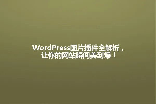 WordPress图片插件全解析,让你的网站瞬间美到爆! 一