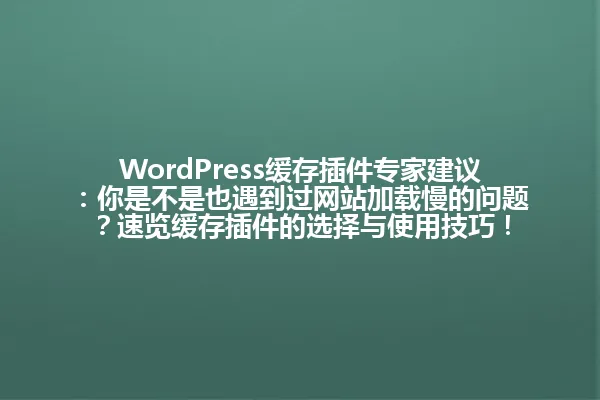 WordPress缓存插件专家建议:你是不是也遇到过网站加载慢的问题?速览缓存插件的选择与使用技巧! 一
