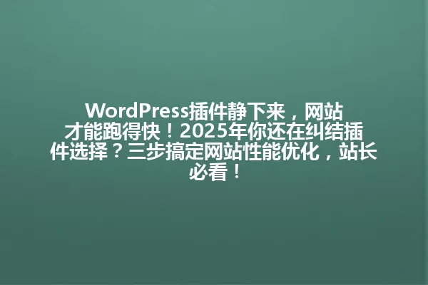 WordPress插件静下来，网站才能跑得快！2025年你还在纠结插件选择？三步搞定网站性能优化，站长必看！ 一