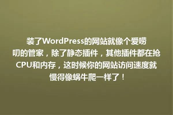 装了WordPress的网站就像个爱唠叨的管家,除了静态插件,其他插件都在抢CPU和内存,这时候你的网站访问速度就慢得像蜗牛爬一样了! 一