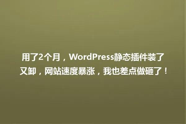 用了2个月，WordPress静态插件装了又卸，网站速度暴涨，我也差点做砸了！ 一