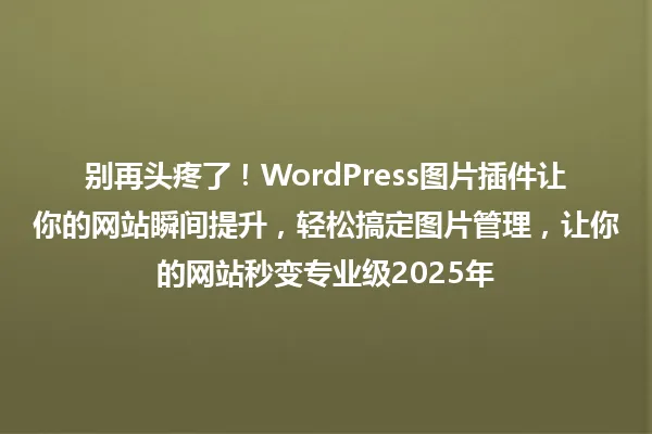 别再头疼了!WordPress图片插件让你的网站瞬间提升,轻松搞定图片管理,让你的网站秒变专业级2025年 一