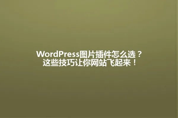 WordPress图片插件怎么选?这些技巧让你网站飞起来! 一