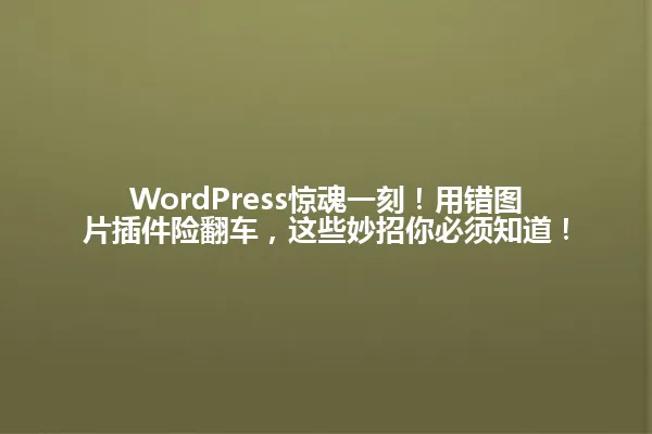 WordPress惊魂一刻！用错图片插件险翻车，这些妙招你必须知道！ 一