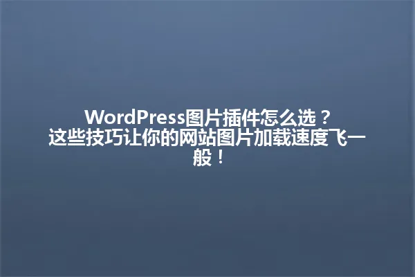 WordPress图片插件怎么选?这些技巧让你的网站图片加载速度飞一般! 一