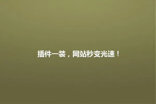 插件一装,网站秒变光速! 一
