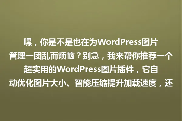 嘿,你是不是也在为WordPress图片管理一团乱而烦恼?别急,我来帮你推荐一个超实用的WordPress图片插件,它自动优化图片大小、智能压缩提升加载速度,还能分类搜索,让小白秒变效率达人! 一