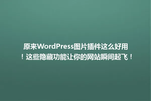 原来WordPress图片插件这么好用!这些隐藏功能让你的网站瞬间起飞! 一
