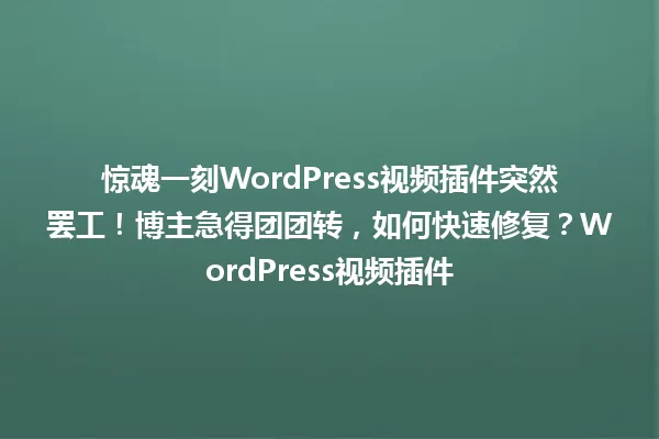惊魂一刻WordPress视频插件突然罢工!博主急得团团转,如何快速修复?WordPress视频插件 一
