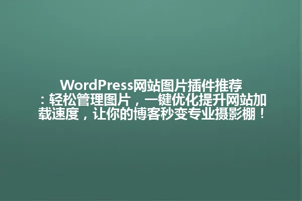 WordPress网站图片插件推荐:轻松管理图片,一键优化提升网站加载速度,让你的博客秒变专业摄影棚! 一