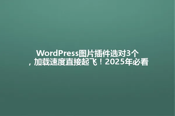 WordPress图片插件选对3个,加载速度直接起飞!2025年必看 一