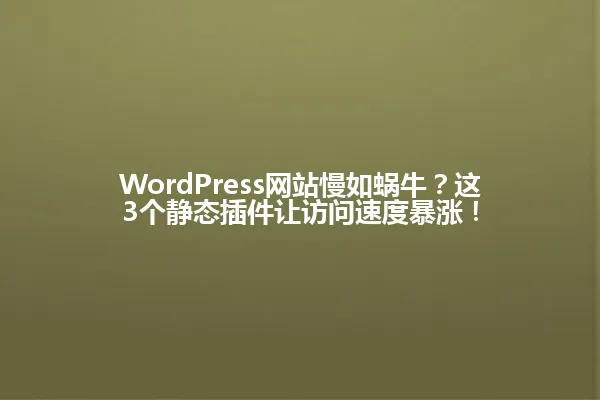WordPress网站慢如蜗牛?这3个静态插件让访问速度暴涨! 一