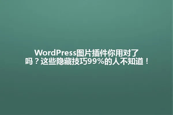 WordPress图片插件你用对了吗？这些隐藏技巧99%的人不知道！ 一