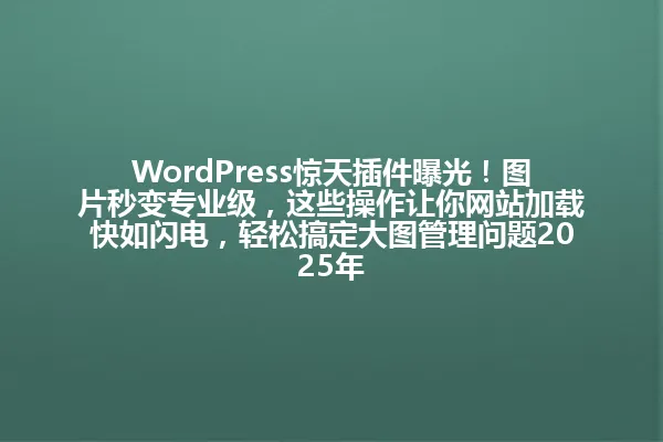 WordPress惊天插件曝光!图片秒变专业级,这些操作让你网站加载快如闪电,轻松搞定大图管理问题2025年 一