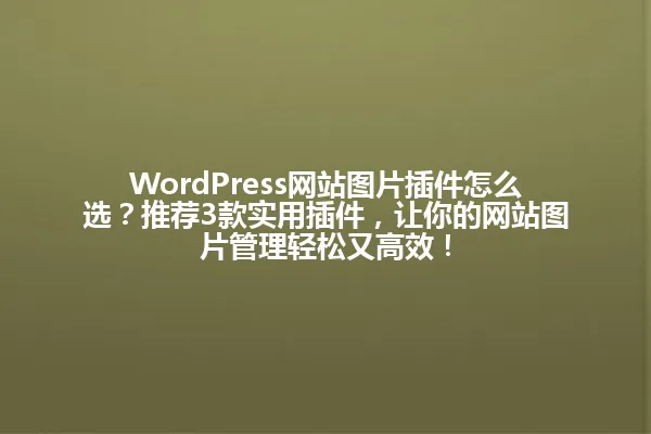 WordPress网站图片插件怎么选?推荐3款实用插件,让你的网站图片管理轻松又高效! 一