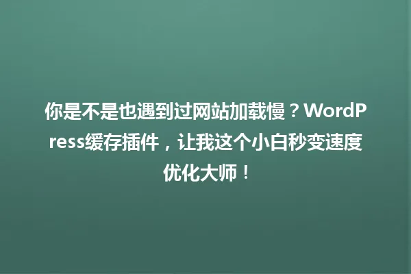 你是不是也遇到过网站加载慢?WordPress缓存插件,让我这个小白秒变速度优化大师! 一