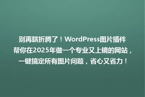 别再瞎折腾了！WordPress图片插件帮你在2025年做一个专业又上镜的网站，一键搞定所有图片问题，省心又省力！ 一
