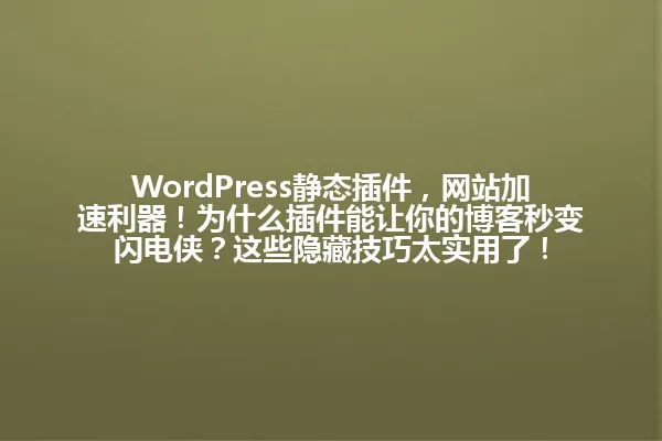 WordPress静态插件,网站加速利器!为什么插件能让你的博客秒变闪电侠?这些隐藏技巧太实用了! 一