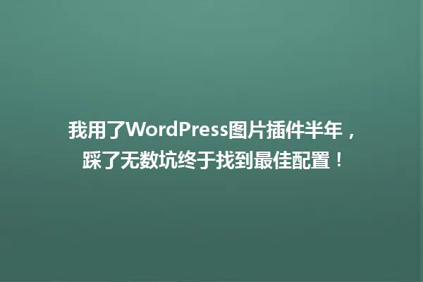 我用了WordPress图片插件半年,踩了无数坑终于找到最佳配置! 一