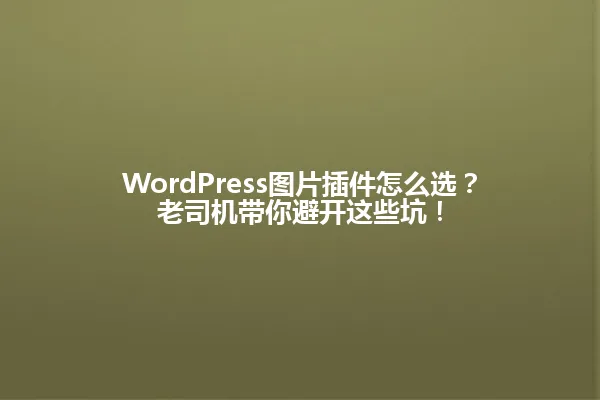 WordPress图片插件怎么选?老司机带你避开这些坑! 一