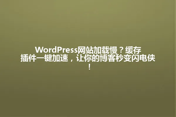 WordPress网站加载慢?缓存插件一键加速,让你的博客秒变闪电侠! 一