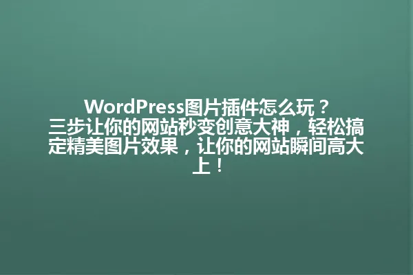 WordPress图片插件怎么玩?三步让你的网站秒变创意大神,轻松搞定精美图片效果,让你的网站瞬间高大上! 一