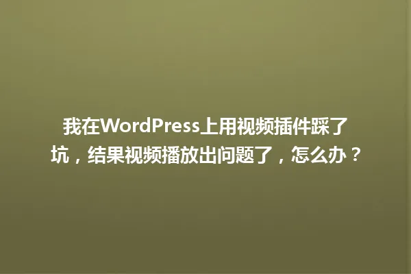 我在WordPress上用视频插件踩了坑，结果视频播放出问题了，怎么办？ 一