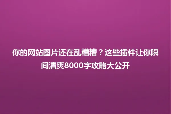 你的网站图片还在乱糟糟?这些插件让你瞬间清爽8000字攻略大公开 一