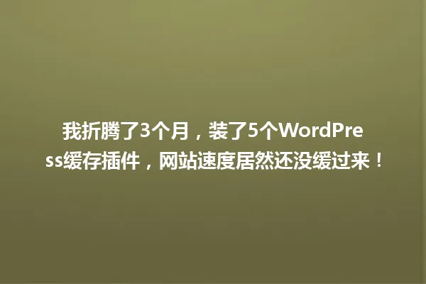 我折腾了3个月,装了5个WordPress缓存插件,网站速度居然还没缓过来! 一