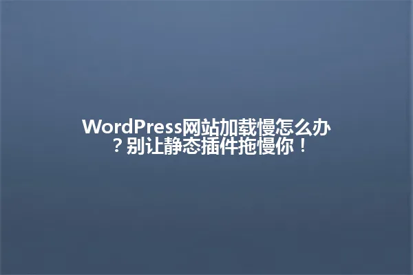WordPress网站加载慢怎么办？别让静态插件拖慢你！ 一