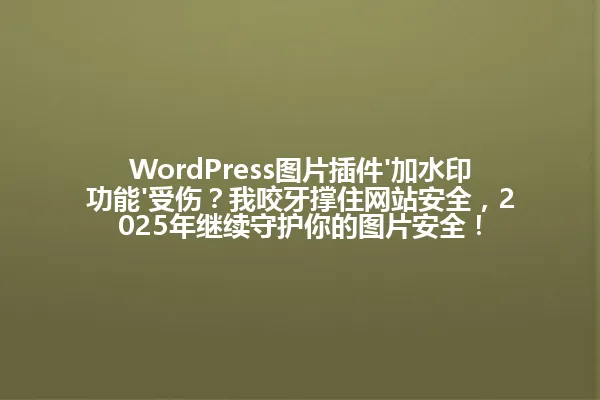 WordPress图片插件'加水印功能'受伤？我咬牙撑住网站安全，2025年继续守护你的图片安全！ 一