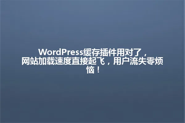 WordPress缓存插件用对了,网站加载速度直接起飞,用户流失零烦恼! 一