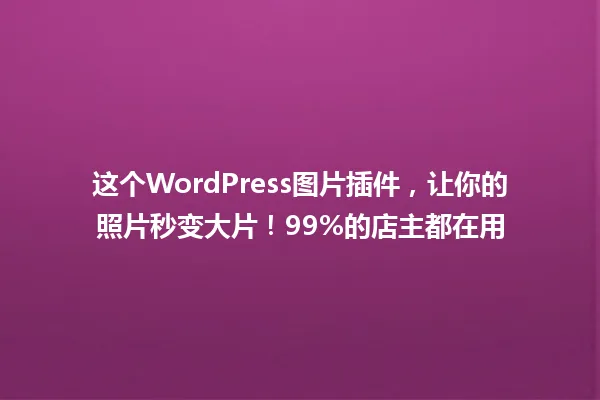这个WordPress图片插件,让你的照片秒变大片!99%的店主都在用 一