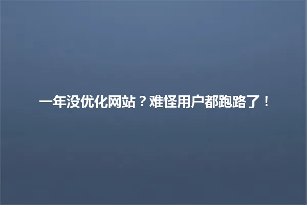 一年没优化网站?难怪用户都跑路了! 一
