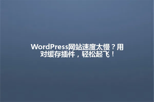 WordPress网站速度太慢?用对缓存插件,轻松起飞! 一