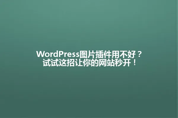 WordPress图片插件用不好?试试这招让你的网站秒开! 一