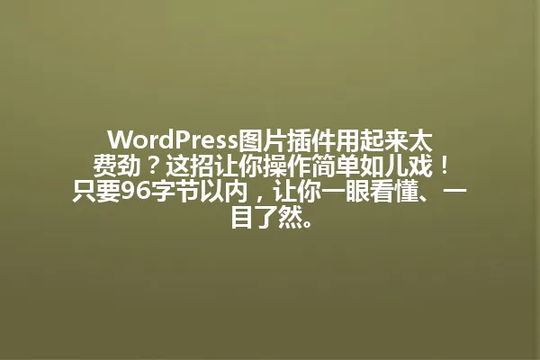 WordPress图片插件用起来太费劲?这招让你操作简单如儿戏!
只要96字节以内,让你一眼看懂、一目了然。 一