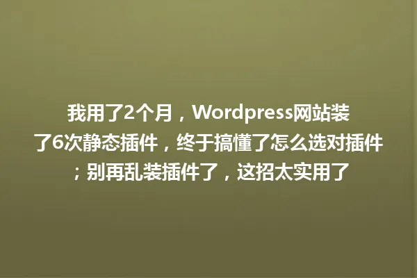 我用了2个月,Wordpress网站装了6次静态插件,终于搞懂了怎么选对插件;别再乱装插件了,这招太实用了 一