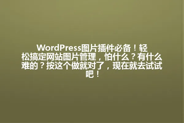 WordPress图片插件必备！轻松搞定网站图片管理，怕什么？有什么难的？按这个做就对了，现在就去试试吧！ 一