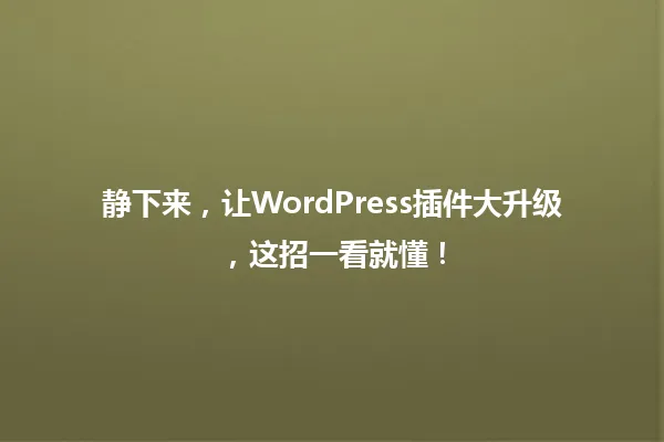 静下来,让WordPress插件大升级,这招一看就懂! 一