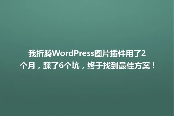 我折腾WordPress图片插件用了2个月,踩了6个坑,终于找到最佳方案! 一