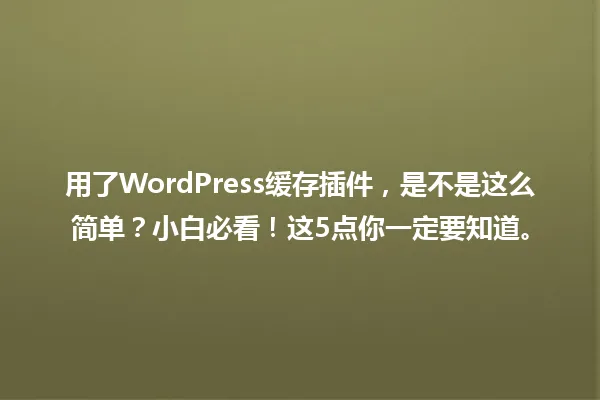 用了WordPress缓存插件,是不是这么简单?小白必看!这5点你一定要知道。 一
