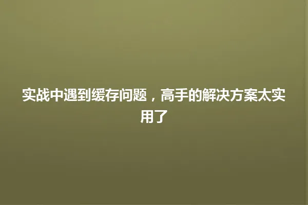 实战中遇到缓存问题,高手的解决方案太实用了 一
