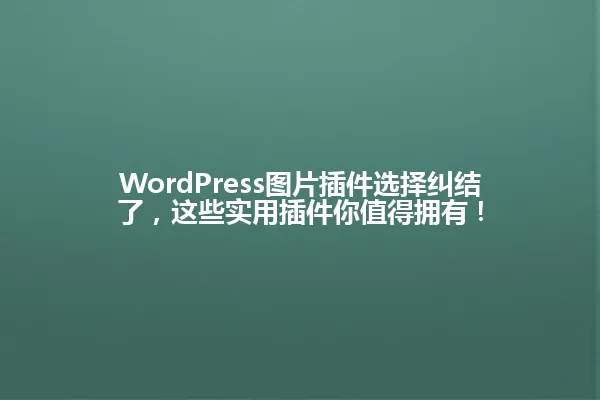 WordPress图片插件选择纠结了,这些实用插件你值得拥有! 一