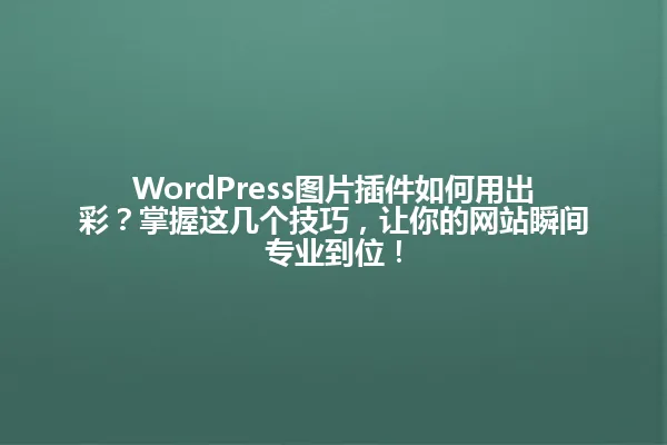 WordPress图片插件如何用出彩?掌握这几个技巧,让你的网站瞬间专业到位! 一